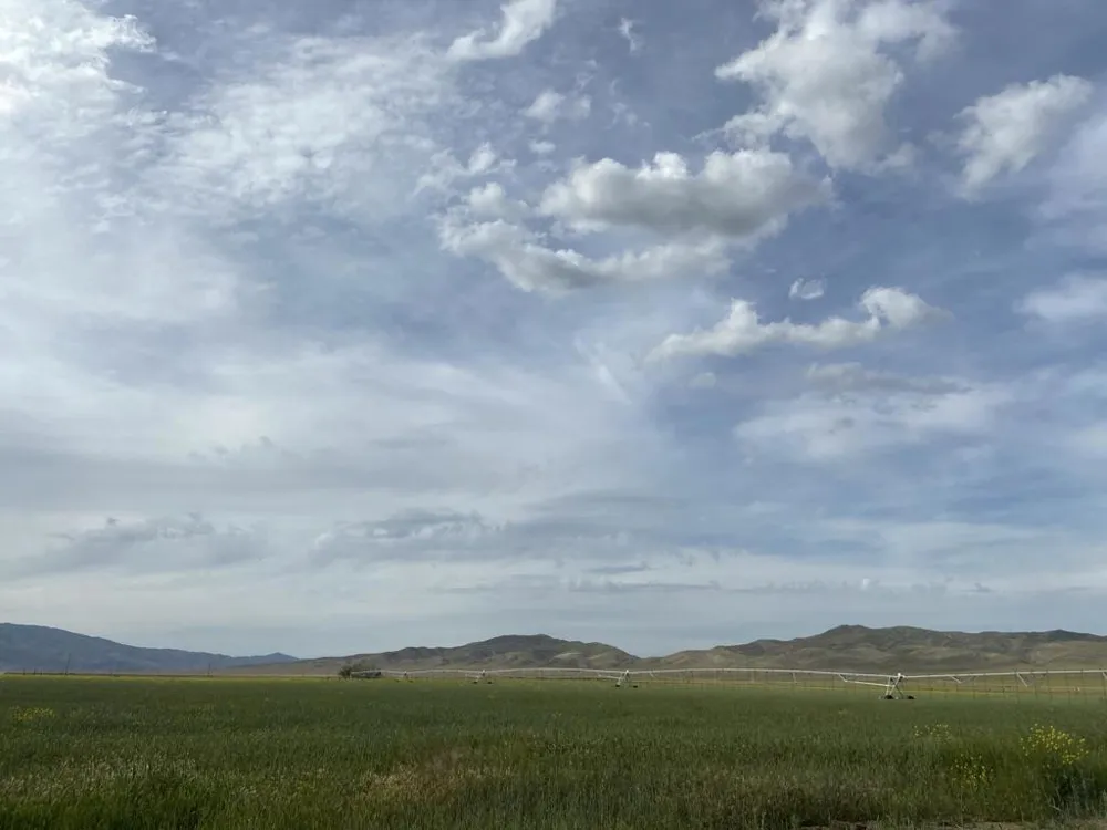 Panoche Road Pcl 1 Road Other, CA 95043