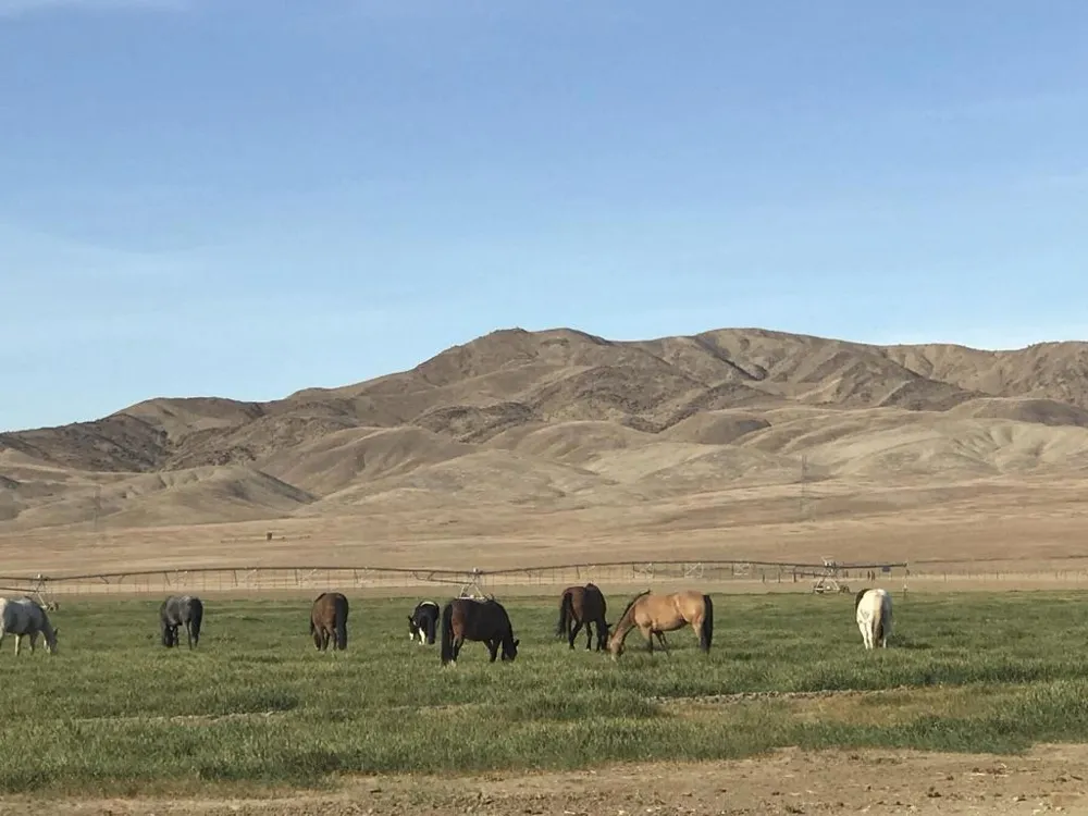 Panoche Road Pcl 1 Road Other, CA 95043