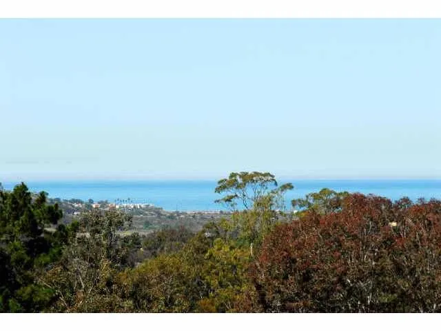 5428 Avenida Maravillas Rancho Santa Fe, CA 92067