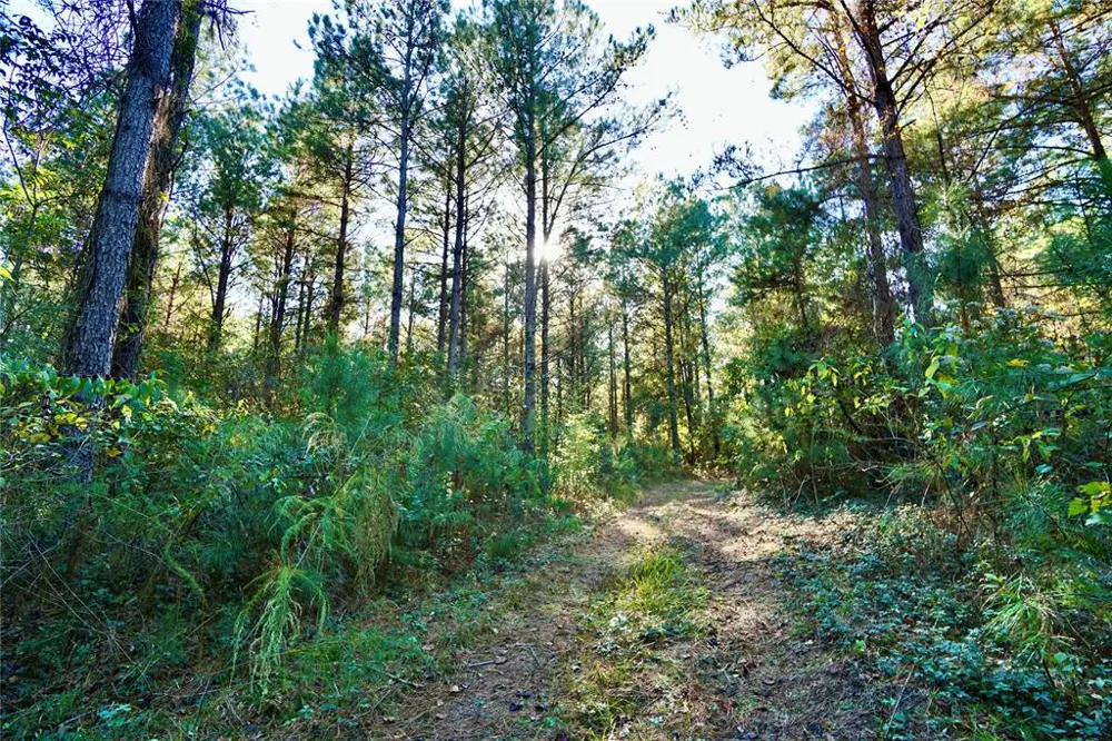 Address Not Shown Plain Dealing, LA 71064