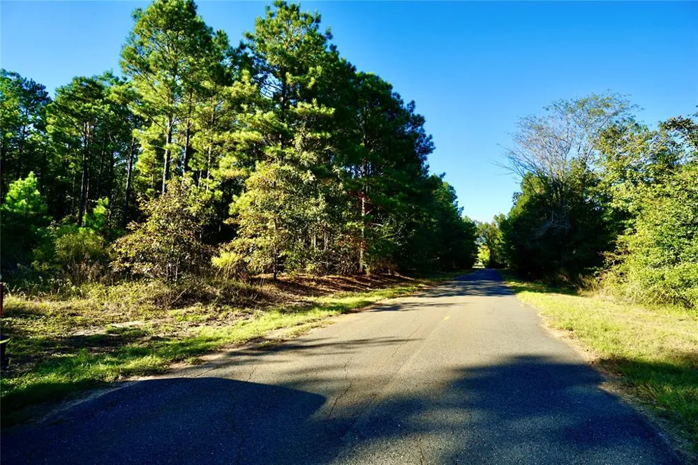 Address Not Shown Plain Dealing, LA 71064