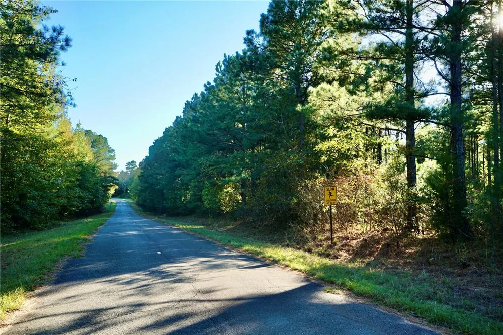 Address Not Shown Plain Dealing, LA 71064
