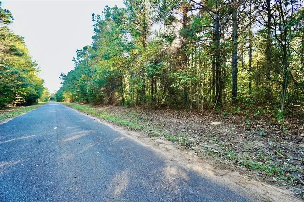 Address Not Shown Plain Dealing, LA 71064