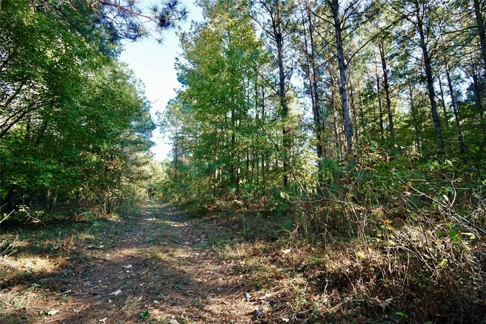 Address Not Shown Plain Dealing, LA 71064