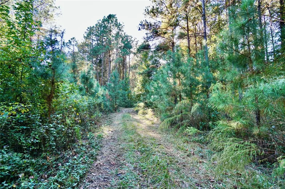 Address Not Shown Plain Dealing, LA 71064