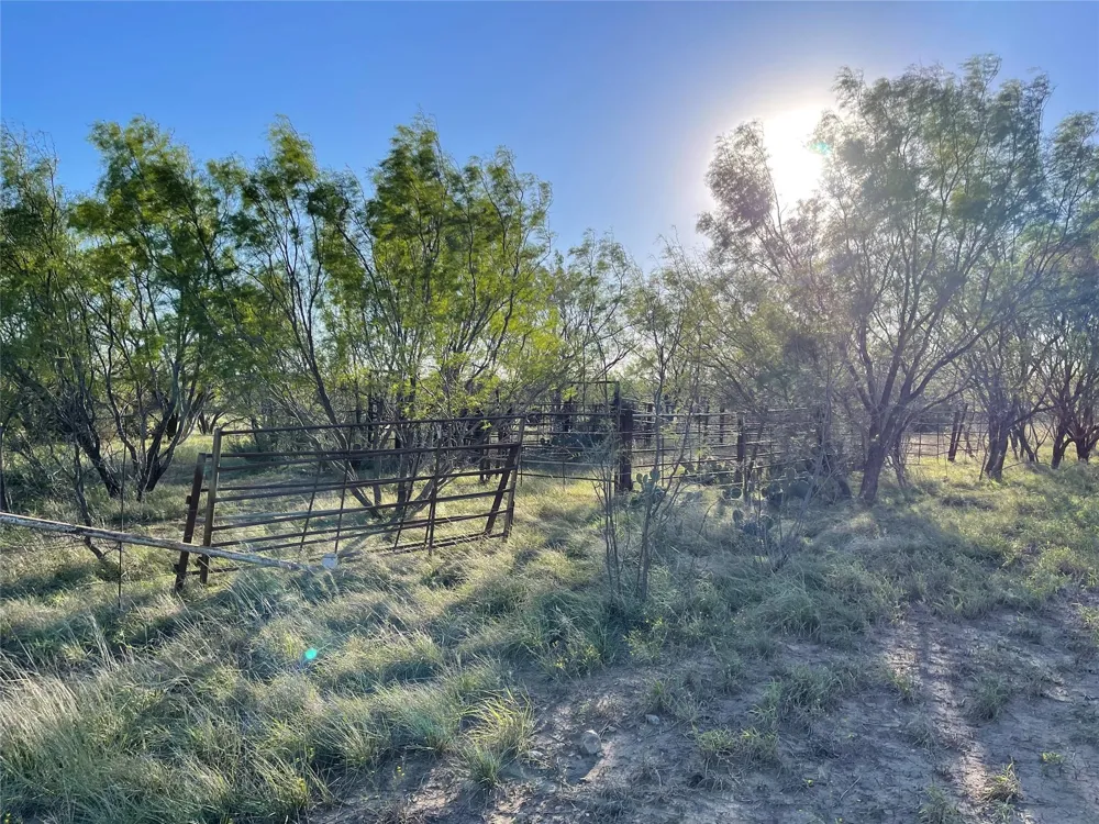 1000 Cr 116 Ballinger, TX 76821