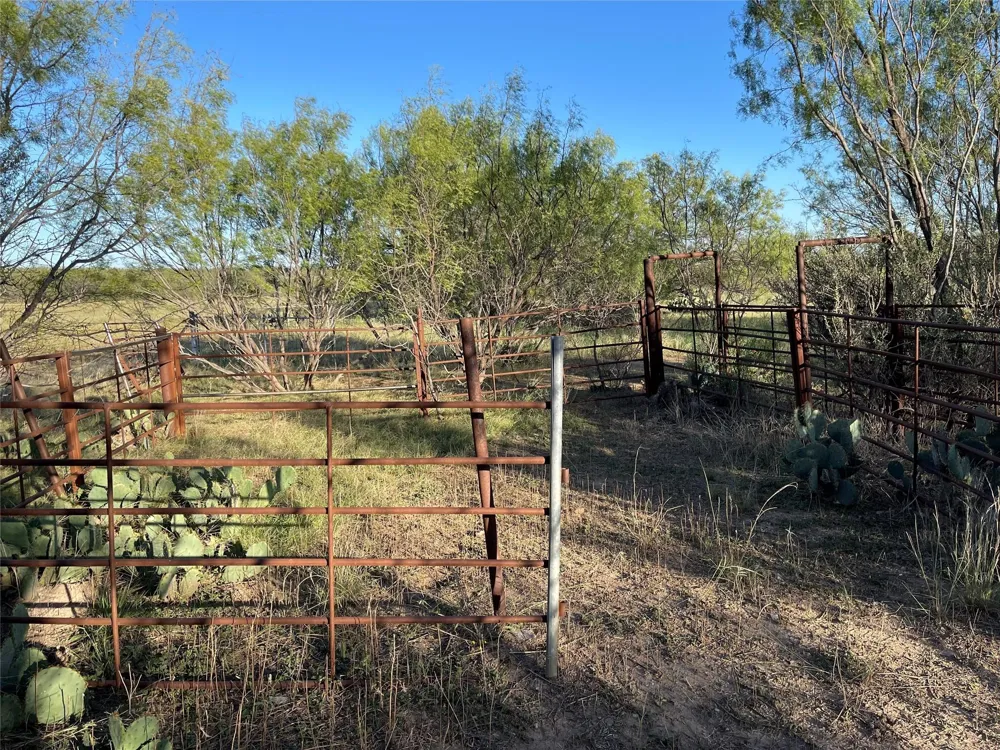1000 Cr 116 Ballinger, TX 76821