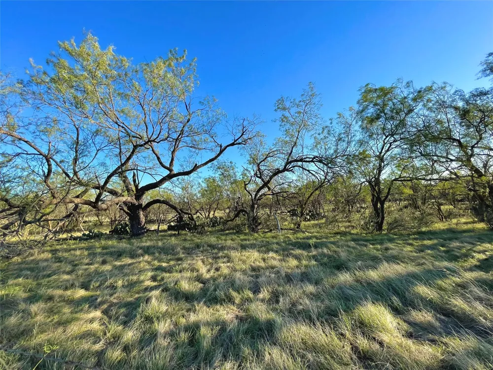 1000 Cr 116 Ballinger, TX 76821