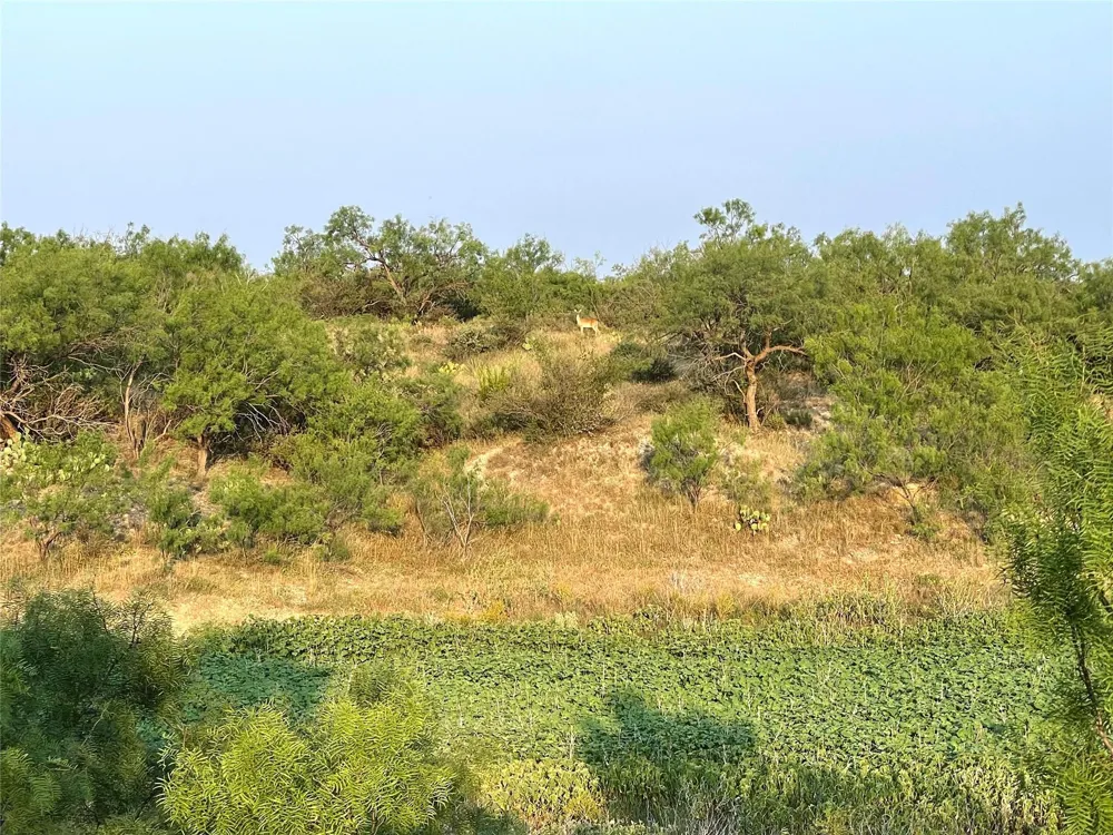 1000 Cr 116 Ballinger, TX 76821