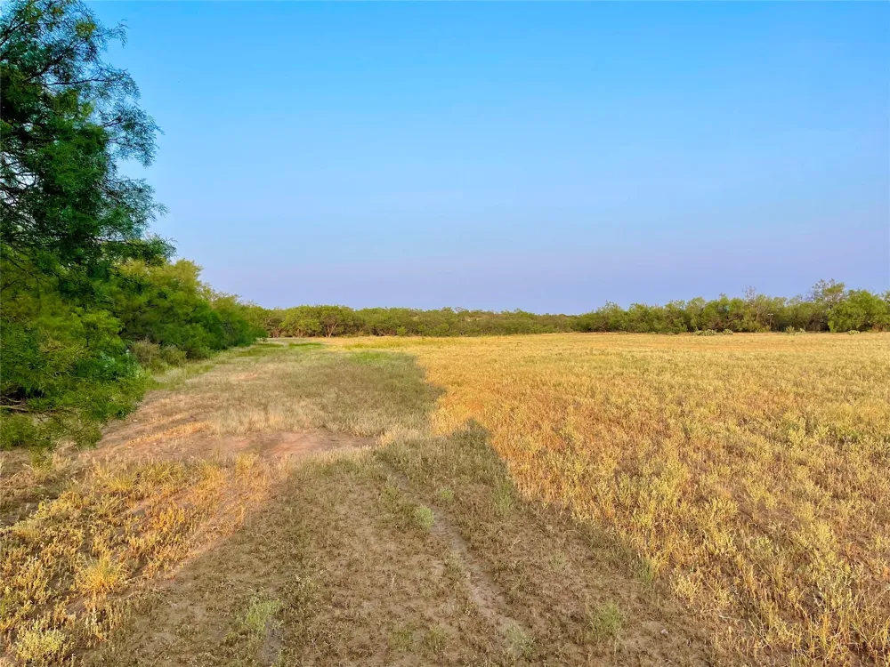 1000 Cr 116 Ballinger, TX 76821