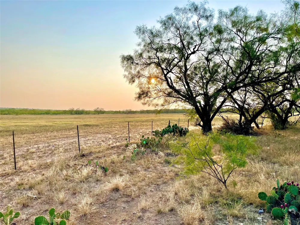 1000 Cr 116 Ballinger, TX 76821