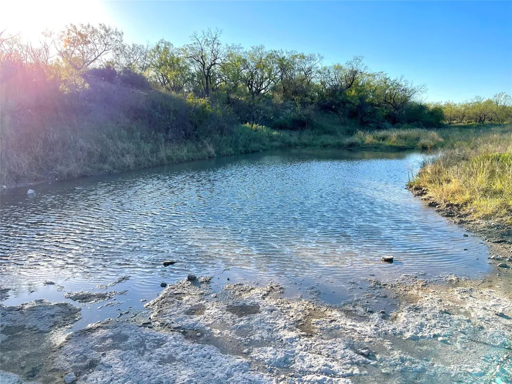 1000 Cr 116 Ballinger, TX 76821