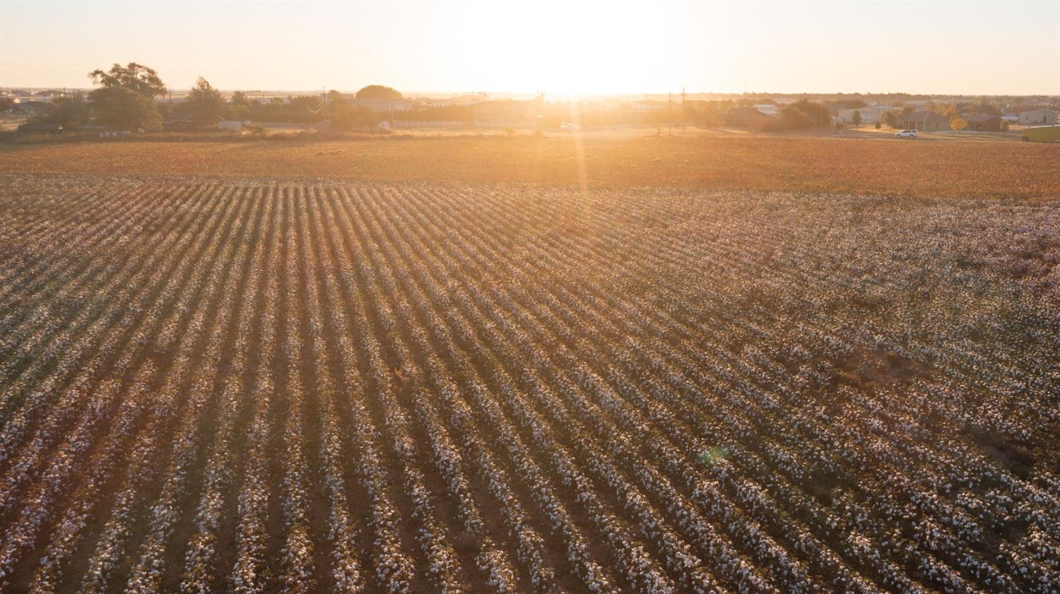 Farm Road 181 Seminole, TX 79360