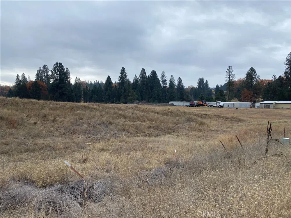 6434 Greeley Hill Road Coulterville, CA 95311