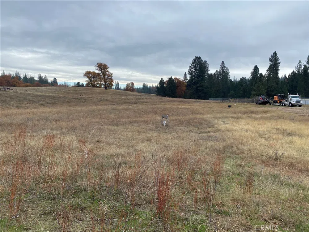 6434 Greeley Hill Road Coulterville, CA 95311
