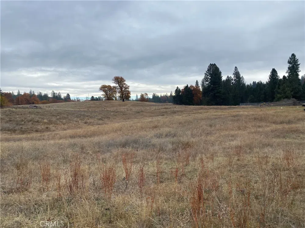 6434 Greeley Hill Road Coulterville, CA 95311