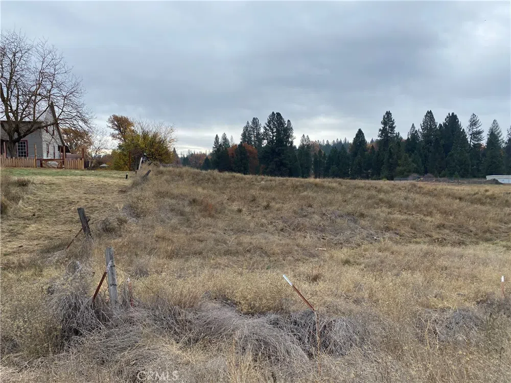 6434 Greeley Hill Road Coulterville, CA 95311