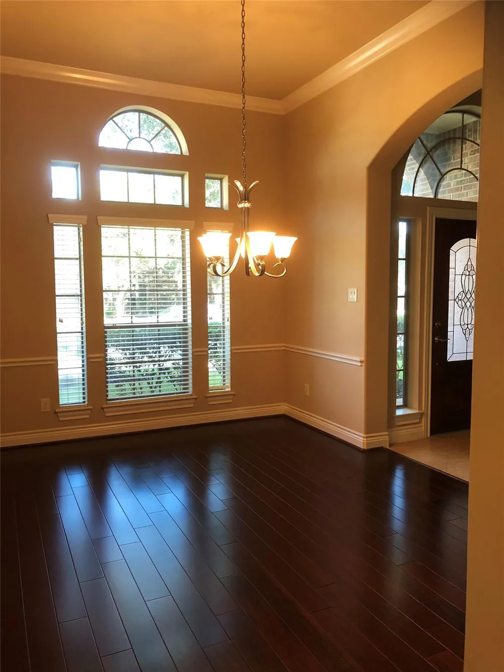 13804 Lakewater Drive Pearland, TX 77584