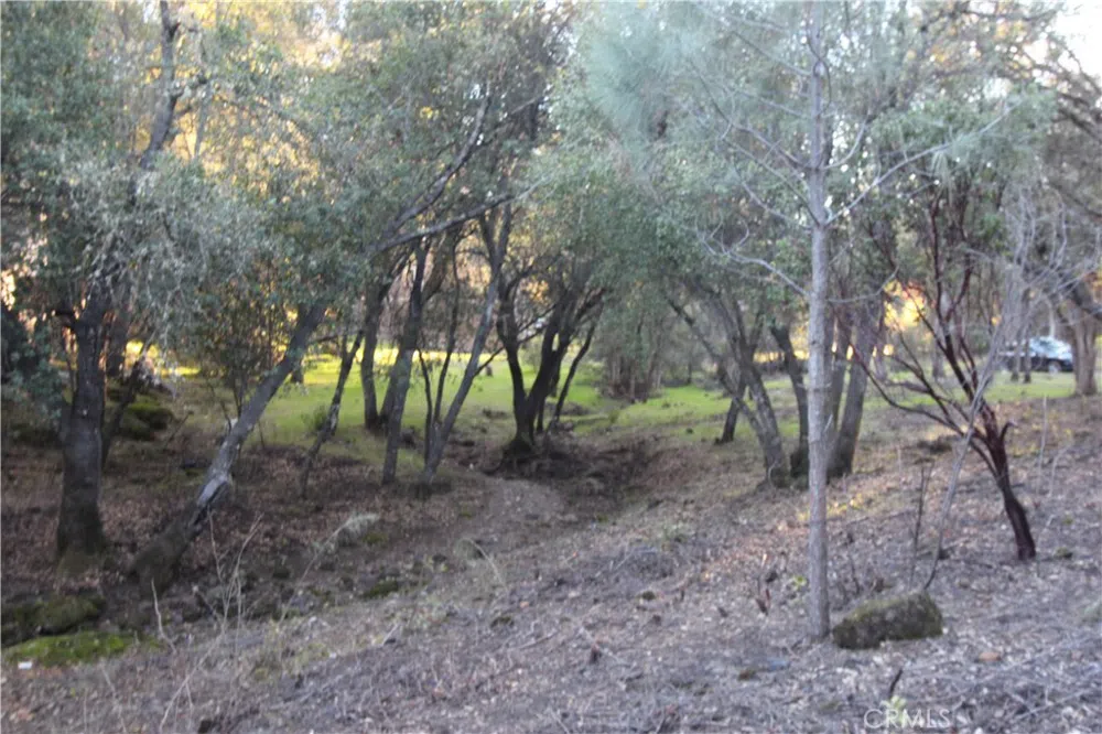 6157 Armijo Avenue Clearlake, CA 95422