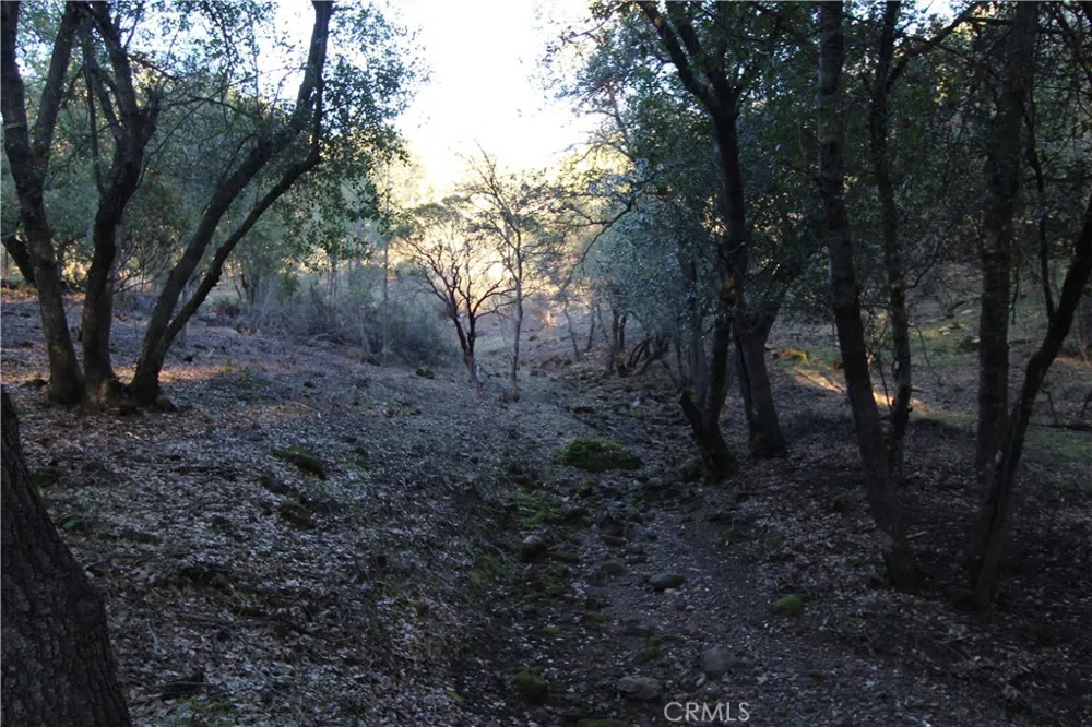 6157 Armijo Avenue Clearlake, CA 95422