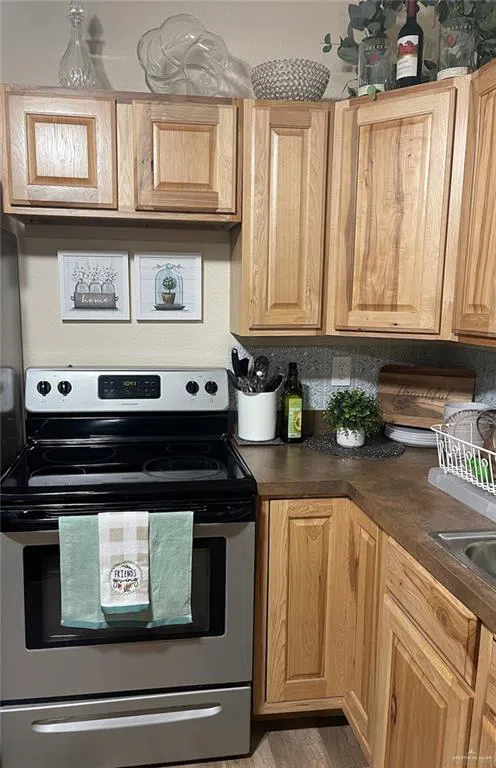 561 Lion Lake Drive Progreso Lakes, TX 78596