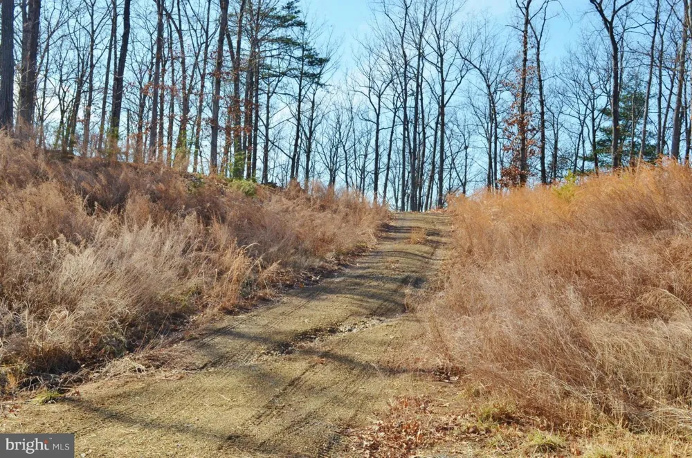 COMFORTER LANE Middletown, VA 22645