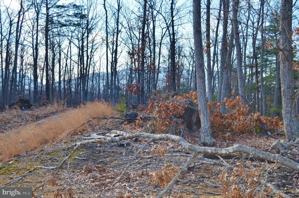 COMFORTER LANE Middletown, VA 22645