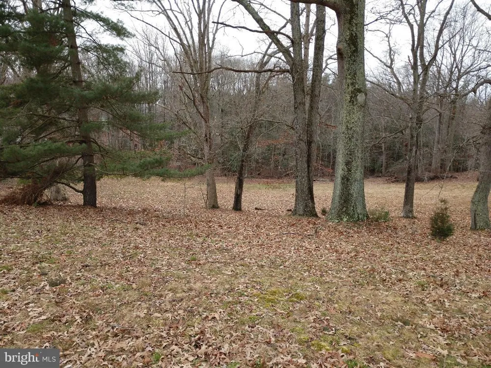 10015 H.G. TRUEMAN ROAD Lusby, MD 20657