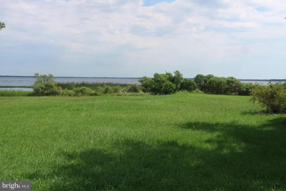 11646 LONG POINT ROAD Deal Island, MD 21821
