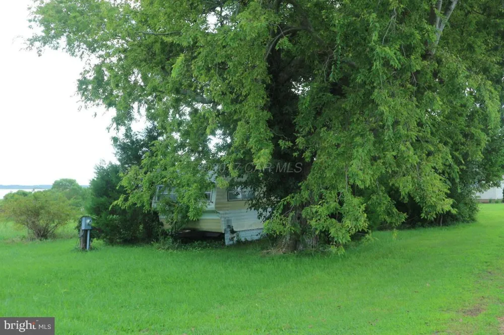11646 LONG POINT ROAD Deal Island, MD 21821