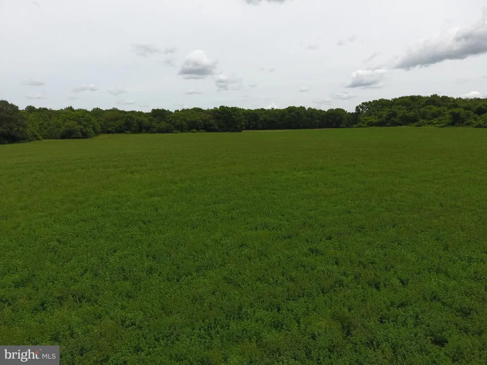 12423 SUSSEX HIGHWAY Greenwood, DE 19950
