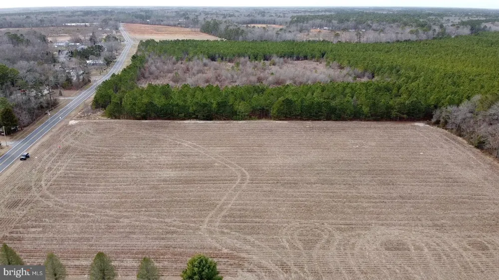 21063 WILSON RD Georgetown, DE 19947