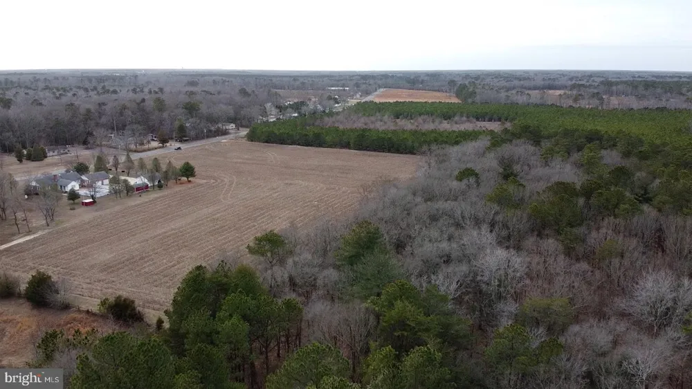 21063 WILSON RD Georgetown, DE 19947