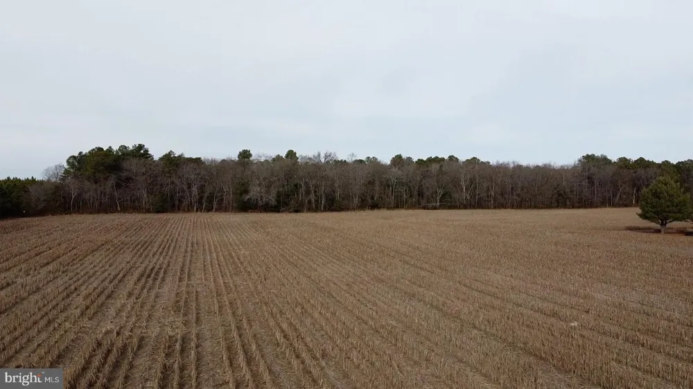 21063 WILSON RD Georgetown, DE 19947