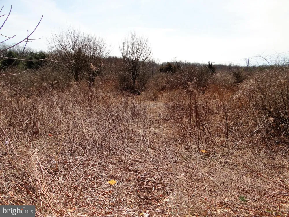0 S ROUTE 183 Schuylkill Haven, PA 17972