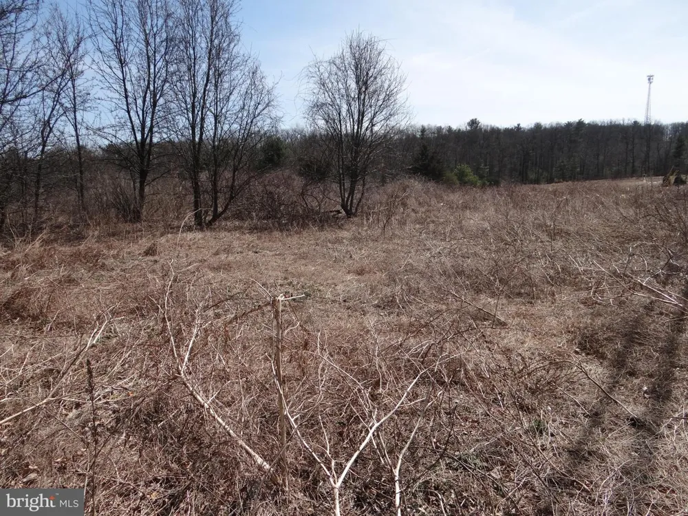 0 S ROUTE 183 Schuylkill Haven, PA 17972