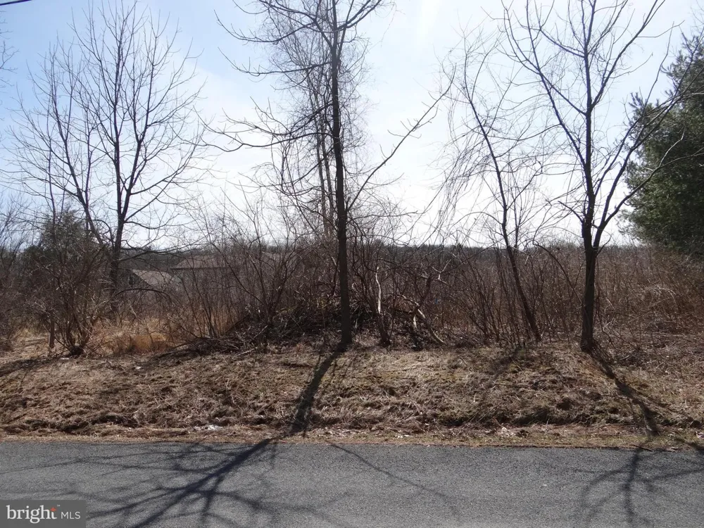 0 S ROUTE 183 Schuylkill Haven, PA 17972