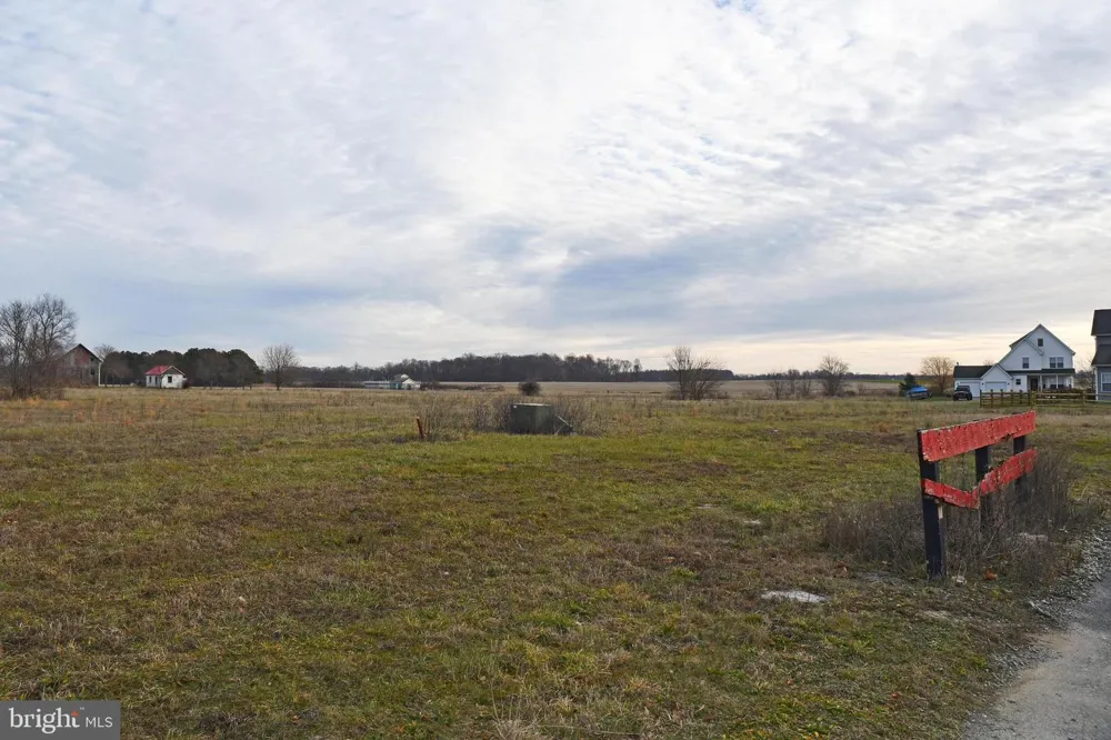 BOHEMIA AVENUE Cecilton, MD 21913