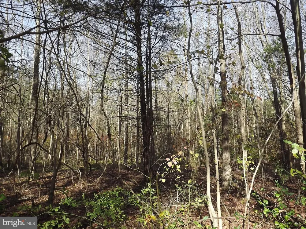 0 YORKETOWN ROAD Alloway, NJ 08001