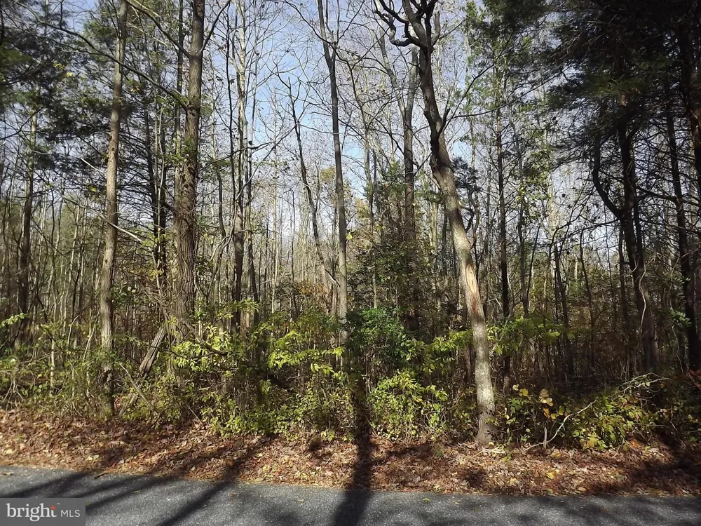 0 YORKETOWN ROAD Alloway, NJ 08001