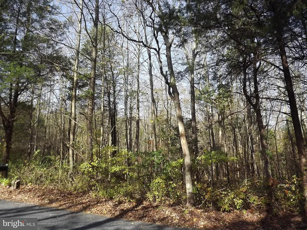 0 YORKETOWN ROAD Alloway, NJ 08001