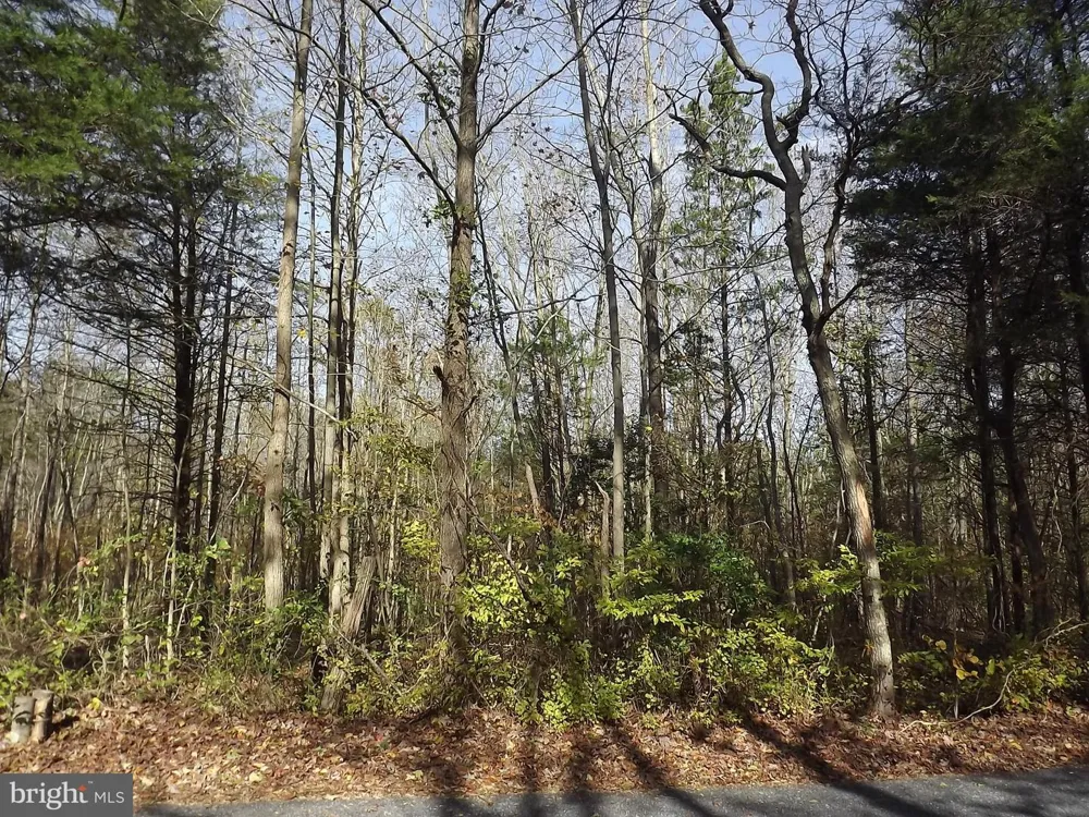 0 YORKETOWN ROAD Alloway, NJ 08001
