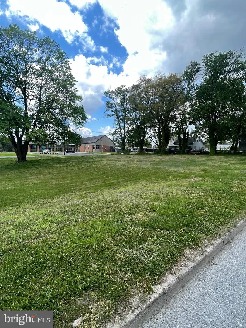 129 WASHINGTON ST Millsboro, DE 19966
