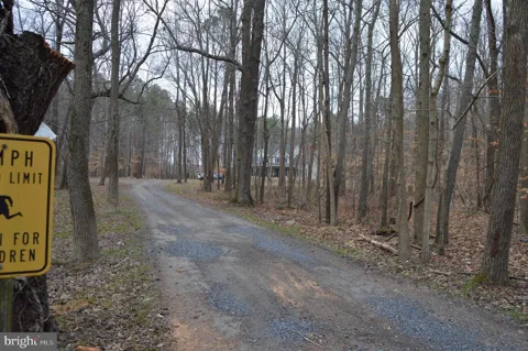 BROWNSVILLE ROAD