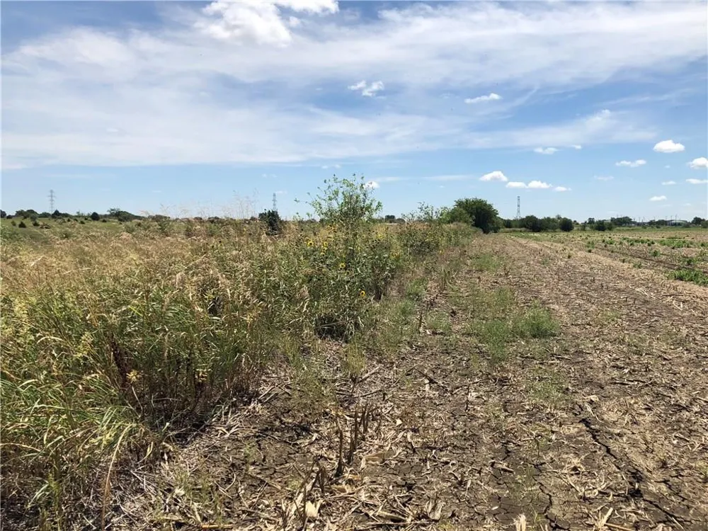 13 Bulldog Drive Venus, TX 76084
