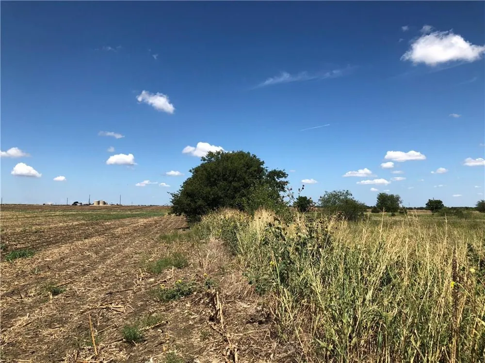 13 Bulldog Drive Venus, TX 76084
