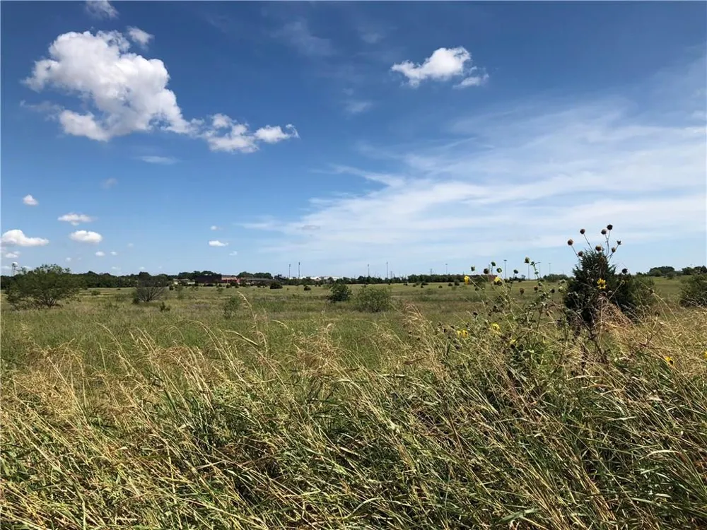 13 Bulldog Drive Venus, TX 76084