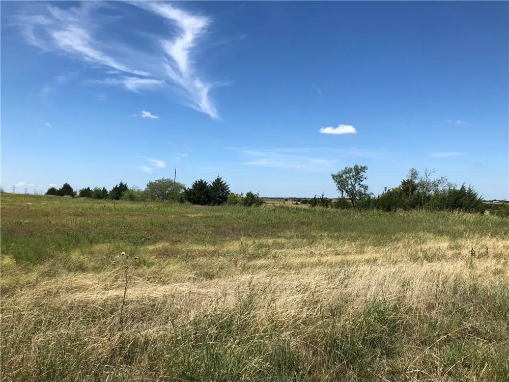 13 Bulldog Drive Venus, TX 76084