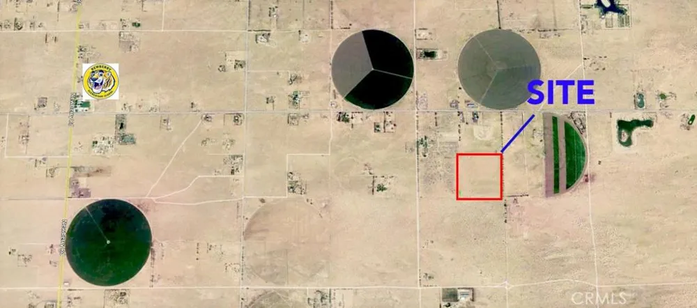 Black Butte Road Newberry Springs, CA 92365