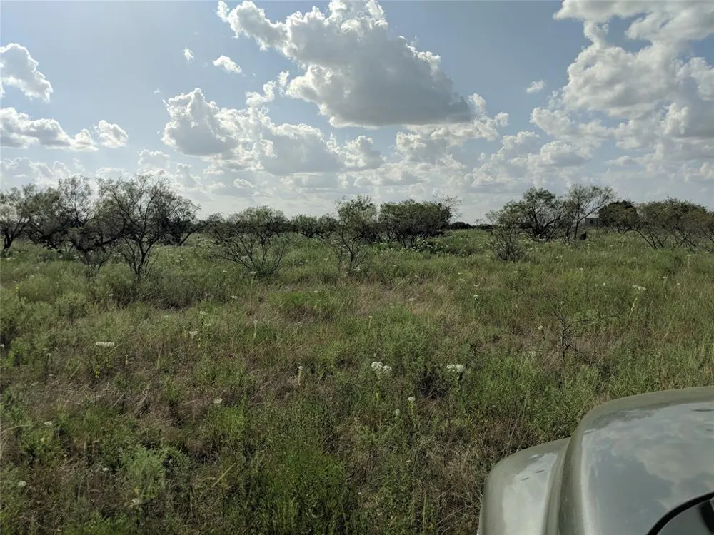 Hwy 36 E. Tract 1 Jonesboro, TX 76538